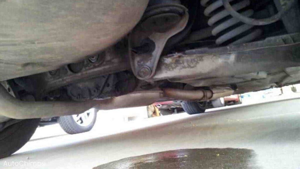 Is Your Car Leaking Gas from the Bottom? Here’s Why and How to Fix It.