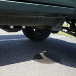 Is Water Leaking from Your Car? Here’s What You Need to Know.